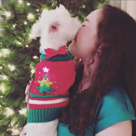 Top Paw Dog Top Paw Holiday Dog Sweater Poshmark